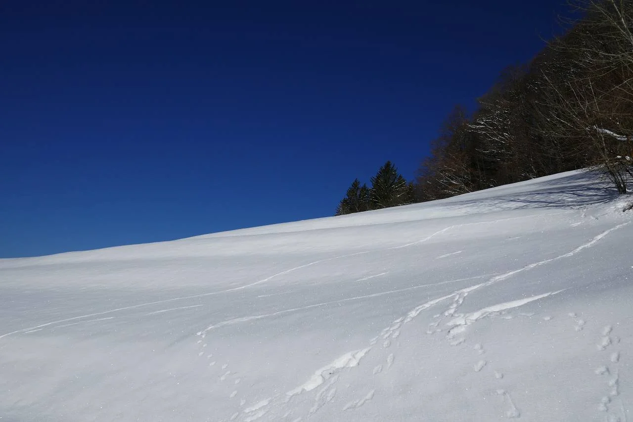 Tanzen im Schnee