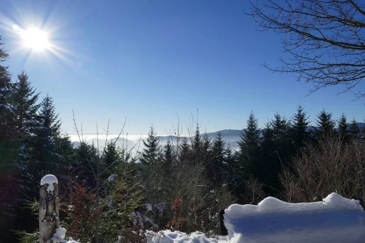 Eindrücke der Winterwanderung 2017